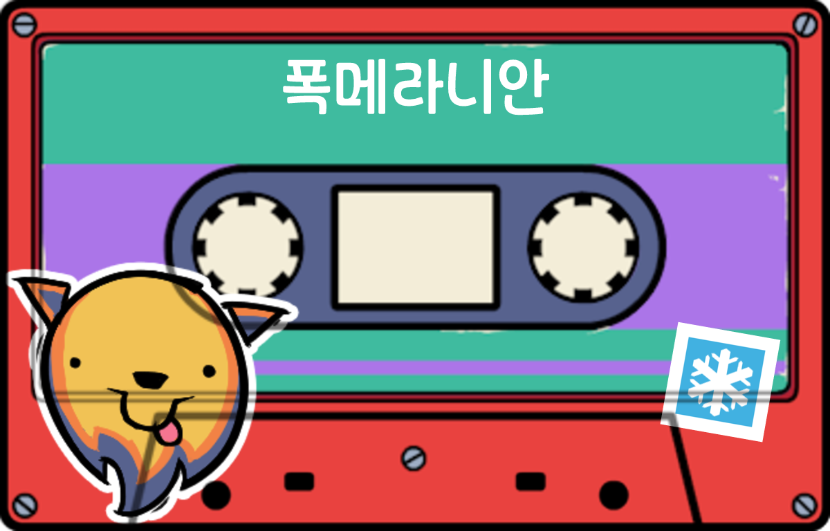 tape 폭메라니안
